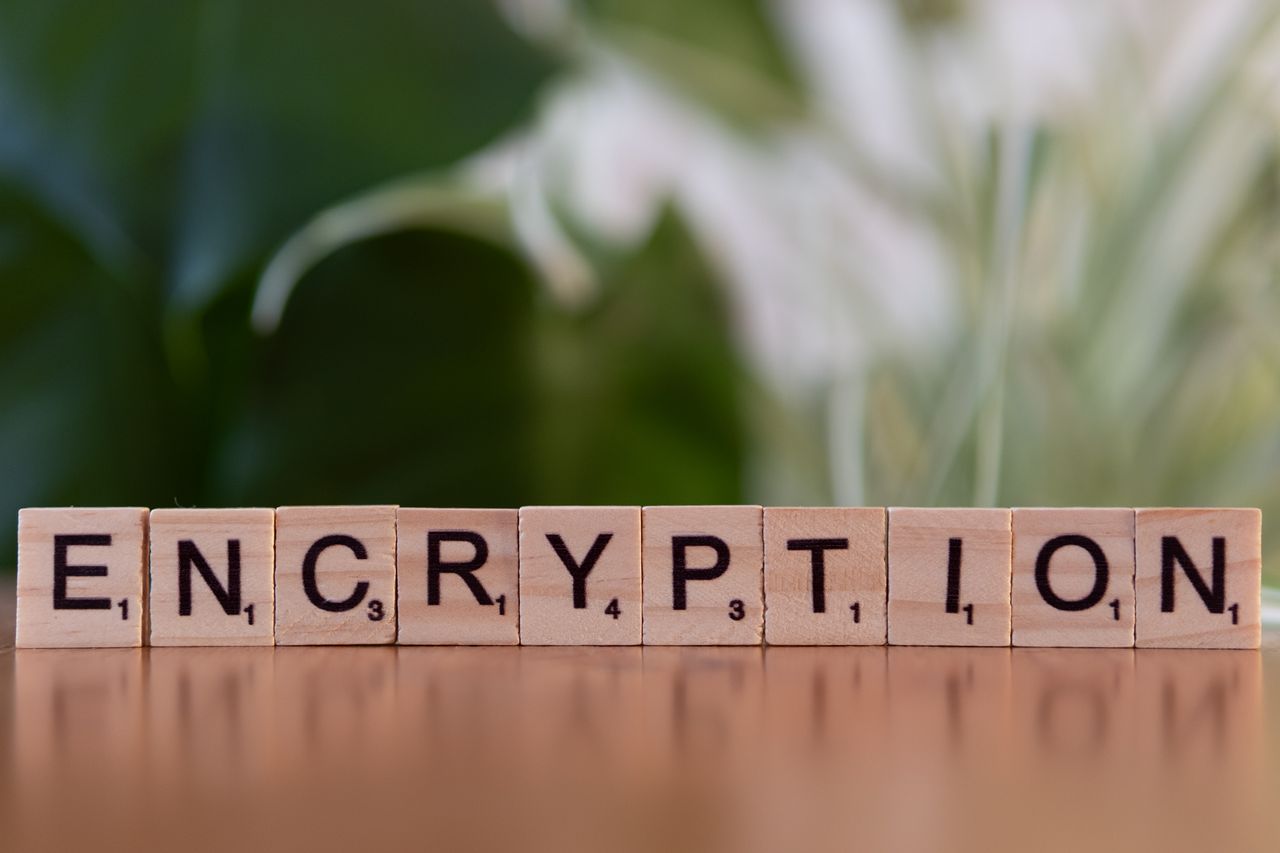 Services Close-up of wooden blocks spelling encryption, symbolizing data security and digital protection.